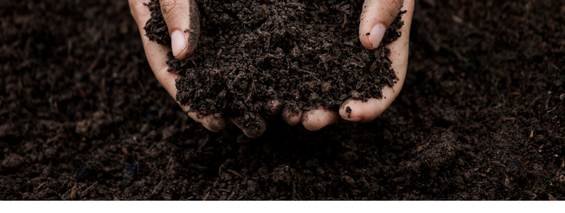 healthy soil for grass