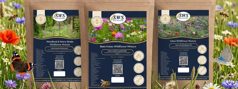 Gemini_Generated_Image_wqg3u6wqg3u6wqg3