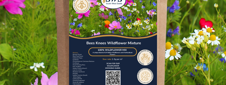 bees knees wildflowers