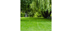 EasyGreen Lawn | Fast Germination, High Wear Recovery &amp; Cost-Effective Grass Seed Mix - 20.00 Kg