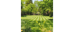 ShadeGreen Lawn | Shade-Tolerant &amp; Drought-Resistant Grass Seed Mix - 20.00 Kg