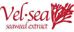 Vel-Sea 20% Liquid Seaweed Extract