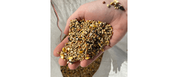Garden Bird Feed | High Energy Wild Bird Mix